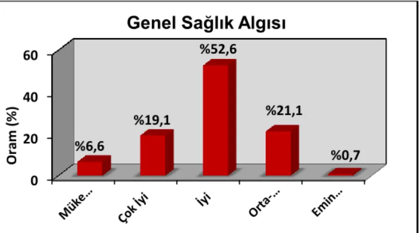 Tablo 6.4. AraĢtırma Grubunun Ağrıya ĠliĢkin Dağılımları 