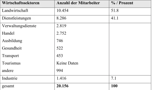 Abb. 3: Sektorale Verteilung wirtschaftlich der aktiven Bevölkerung in der Midyat Stadt (2008)  Quelle: İlçe Mal Müdürlüğü (Finanzamt der Stadt) 