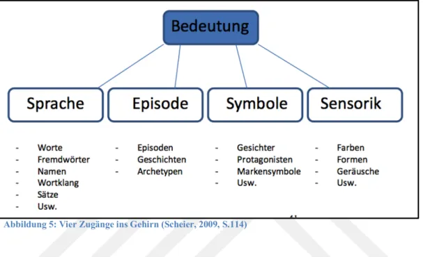 Abbildung 5: Vier Zugänge ins Gehirn (Scheier, 2009, S.114) 