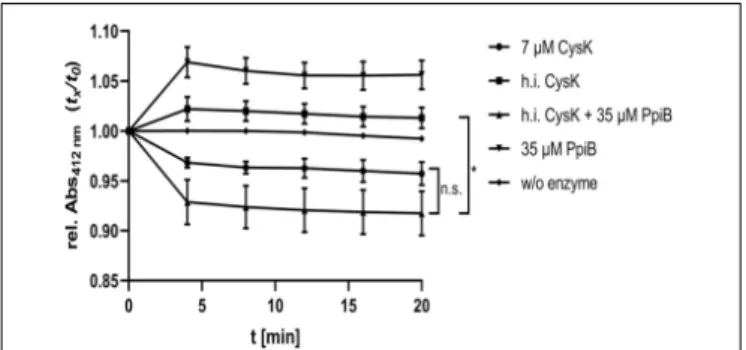 FIGURE 7 | CdPpiB restores CysK-activity after heat denaturation.