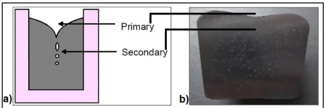 Figure 2.15 shows shrinkage porosities which are located under the tail. 