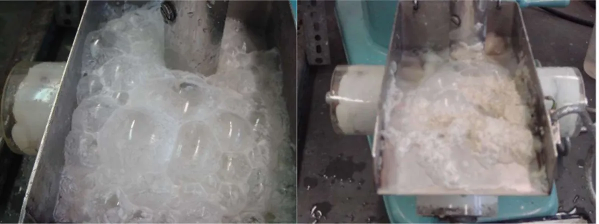 Figure 11. Photos of the flotation froths (left: conventional, right: ultrasonic). 
