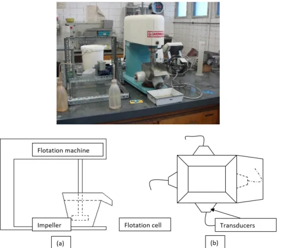 Figure 5. The photo of the flotation experimental setup, (a) schematic, (b) upper view of ultrasonic  cell