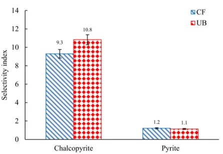 Figure 4. Selectivity indices of chalcopyrite and pyrite with and without the ultrasonic bath.
