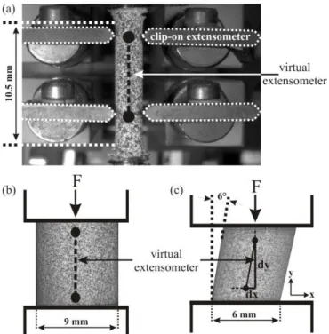 Figure 1. Geometries of the samples used for the mechanical testing and artificially-produced speckle  patterns on the samples required for the measurement of the surface strain fields using digital image  correlation (DIC): (a) cylindrical dog-bone-shaped
