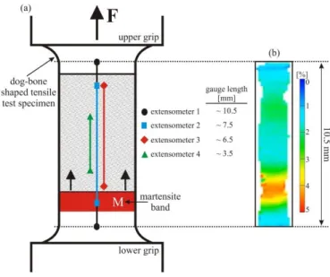 Figure 2. (a) Schematic representation of the dog-bone-shaped tensile test specimen with four virtual  extensometers used for investigation of the effect of the extensometer position, with respect to the Figure 2.(a) Schematic representation of the dog-bon