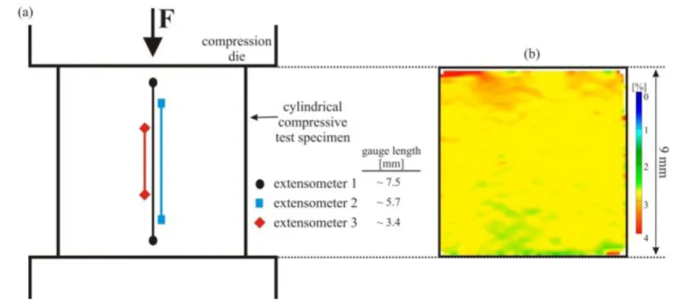 Figure 5. (a) Schematic representation of the cylindrical compressive test specimen; (b) axial surface  strain field recorded at a macroscopic strain of about 3%