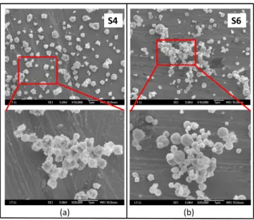 Figure 6. SEM micrographs of nanostructured ZnO particles synthesised from 0.02875 mol/L at 600 