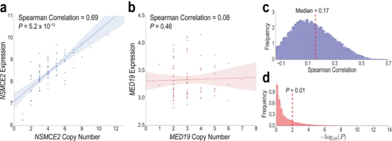 Figure 7.  Expression and copy number variation (CNV) correlations differ across genes