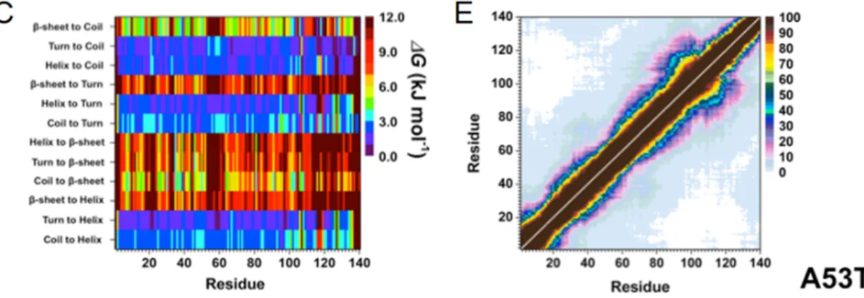 Figure 1. (A)  WT and A53T Mutant αS Secondary Structure Components. Secondary structure  component abundances per residue for the WT (black) and A53T mutant (red) αS structures obtained  after convergence
