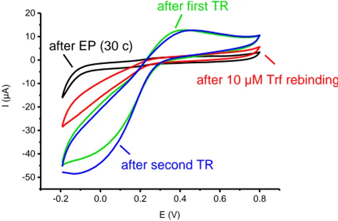 Fig. 2. CV of a MIP electrode (30 c) after EP, after first TR, after 10  μM Trf rebinding and  after second TR recorded in 10 mM ferricyanide in 100 mM KCl at a scan rate of 50 mV/s
