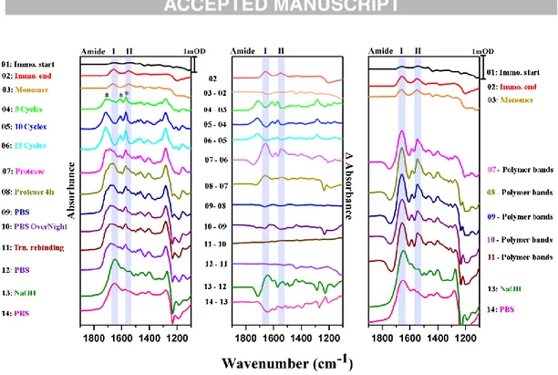 Fig. 4. Left: Absorbance spectra of the different steps of preparation and removal of a MIP on  a  SEIRA  active  gold  electrode  (according  to  Fig