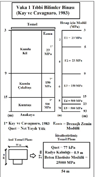 Şekil 2. Vaka Çalışması 1’in Detayları (Kay ve  Cavagnaro, 1983)