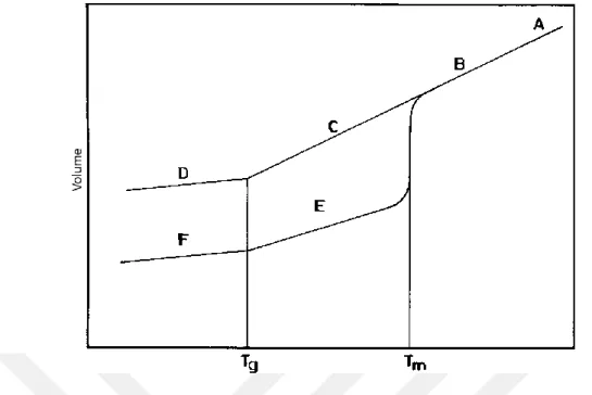 Figure 2-7:  Specific volume-Temperature plot; (A)Liquid zone; (B)viscous liquid with  some elastic response; (C)rubbery zone; (D)glassy zone; (E)crystallites in  a rubbery matrix; (F)crystallites in a glassy matrix [Ebewele, 2000] 