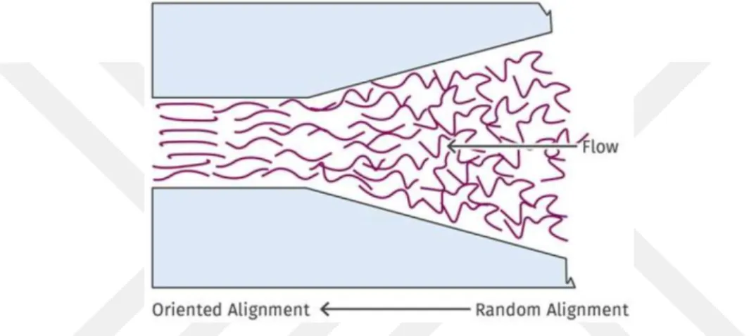Figure 2-15: Molecular orientation by cross-sectional view of the die [Frankland, 2016] 