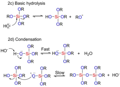 Figure 2. The role of acidic and basic catalysts in the sol-gel process used for the preparation of mesoporous materials.