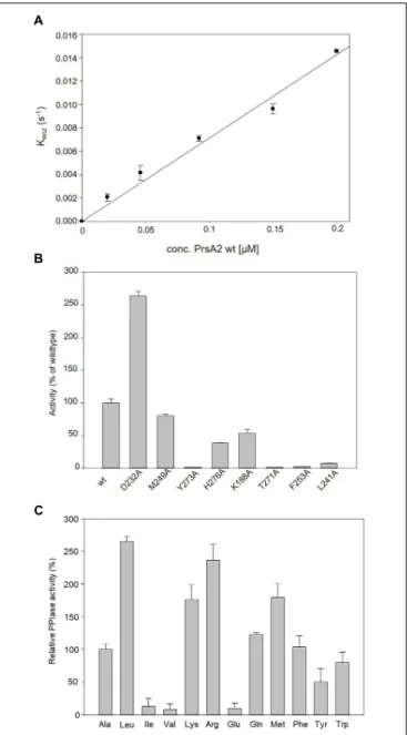 FIGURE 2 | PPIase activity profile of CdPrsA2. (A) Determination of the catalytic efficiency of wtPrsA2 (k cat /K m 6.78 × 10 4 M −1 s −1 ) by evaluation of the linear dependency of k enz from the concentration of the protein
