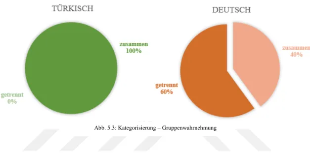 Abb. 5.3: Kategorisierung – Gruppenwahrnehmung 