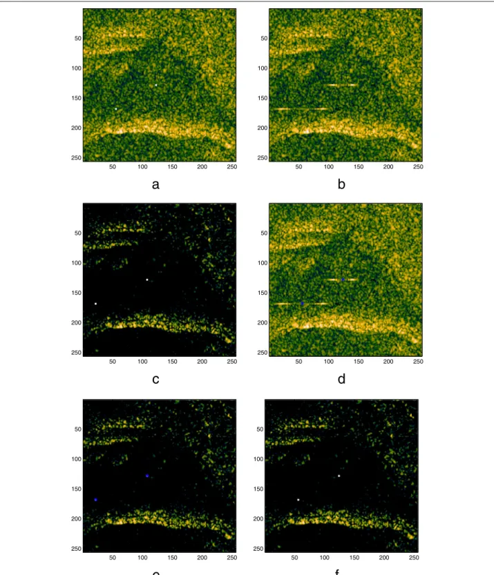 Fig. 2 a Original scene. b Image reconstructed by conventional imaging. c Image reconstructed by our proposed ROI-based approach