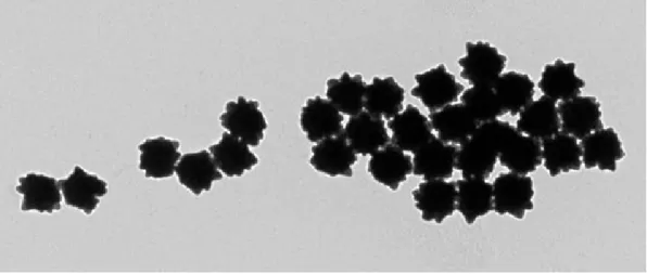 Figure 1 indicates the TEM of 100 nm gold nano urchins in the literature [?].