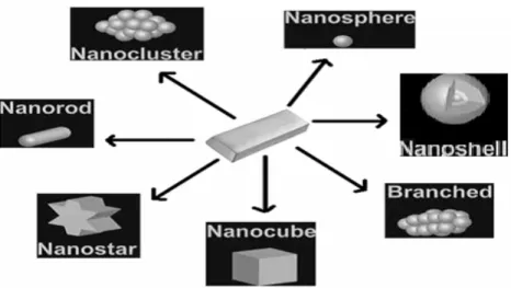 Figure 2: Various shapes of the GNPs [8].