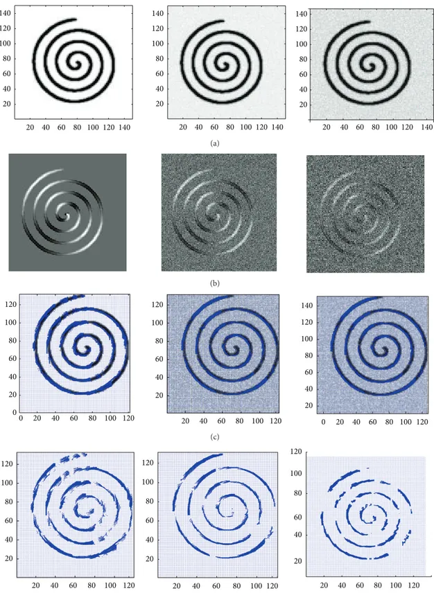 Figure 9: The spiral trajectory results are represented. (a): T2 weighted images; from left to right: noise free T2; SNR = 30; SNR = 15