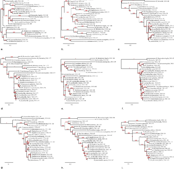 Figure 1. Phylogenetic Trees of Hypervariable Regions V1-V9. The phylogenetic trees generated separately for  each  hypervariable  region  V1-V9  (a.-i.)  of  the  16S  rRNA  genes  of  the  bacteria  of  meconium  (M)  and  bacteria  associated with pneum