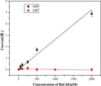 Figure 5. Amperometric responses of MIP and NIP covered electrodes as a function of the BuChE- BuChE-concentration