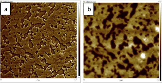 Fig. 15. 10  10 m m 2 AFM images of PCL-PDMS-PCL (6-11-6) copolymer. (a) phase image, (b) height image, (c) phase proﬁle and (d) height proﬁle.