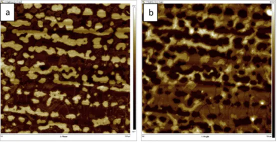 Fig. 17 provides higher magni ﬁcation AFM phase and height images for PCL-PDMS-PCL (16-32-16) copolymer