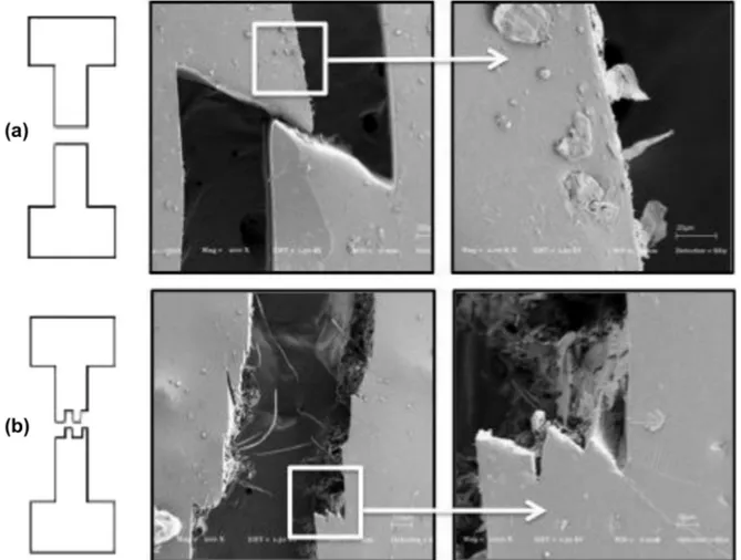 Fig. 12. SEM images of tensile-fractured surfaces of (a) TPU-20 and (b) TPU-20eS2-20.