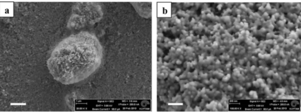 Fig. 4. Surface analysis of silica coated TPSC-6 by White Light Interferometry. (a) 2D Topographical image of 47  63 m m 2 sample surface and depth proﬁles of surfaces along, (b) X- X-axis and (c) Y-X-axis.