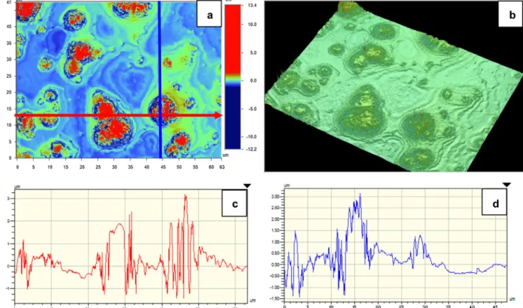 Fig. 4. 47 × 63 ␮m 2 (a) 2D and (b) 3D WLI images of three layers of TPSC/silica (1/10) spin coated glass surface and the roughness proﬁles along (c) X and (d) Y axes.