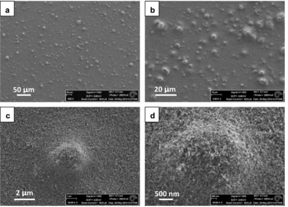 Fig. 5. Surface SEM images of the doctor blade coated TPSC/silica ﬁlms at various magniﬁcations providing the details of the topography and micro-nano structures formed.