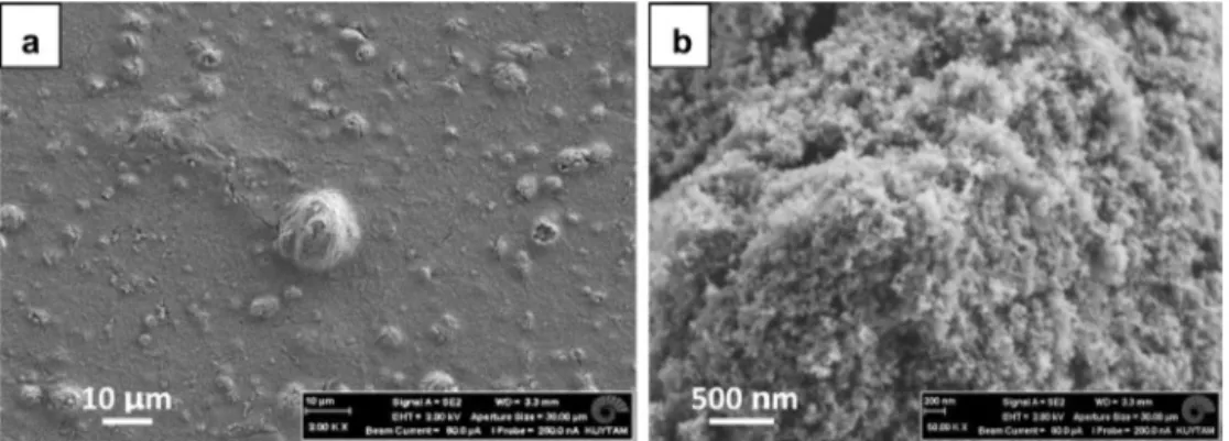 Fig. 8. Surface SEM images of the TPSC/silica (1/10) sample spray coated for 2 s, showing the formation of micro-nano hierarchical surface structures.