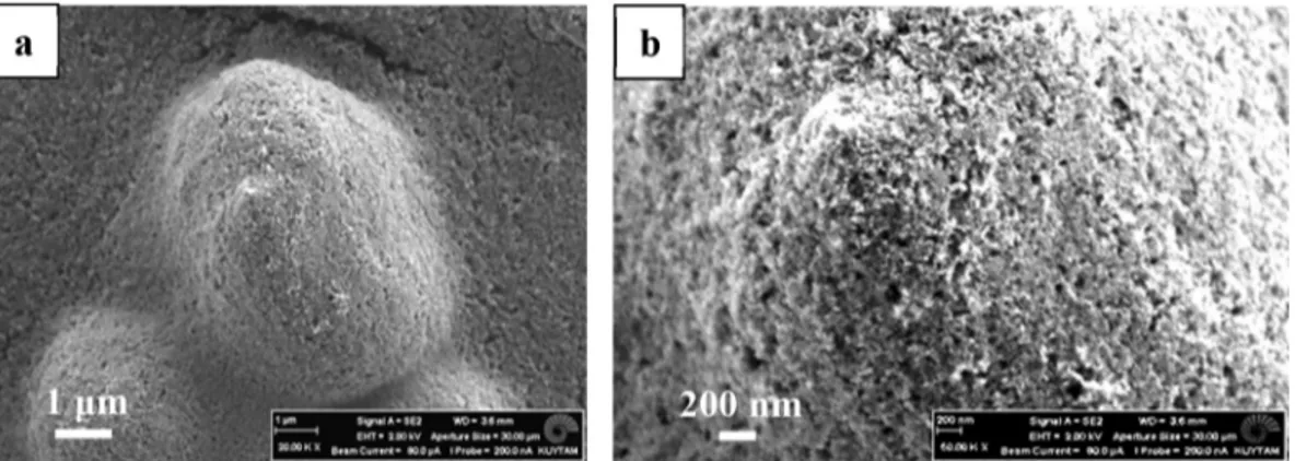 Fig. 3. (a) 2D and (b) 3D WLI images of 47  63 m m 2 PS/SC-3 sample surface and corresponding roughness proﬁles along (c) x-axis and (d) y-axis.