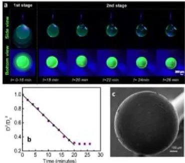 Fig. 4 (a) Images of aqueous silk fibroin droplets with different concentrations on  SHPSU surfaces at the initial (top images), mid (middle images) and final (bottom  images) stages of evaporation, and time dependent (b) droplet height, and (c) contact  a