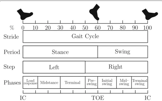 Fig. 3 Gait events and gait phases in one gait cycle. The gait cycle is divided into stance and swing phase.