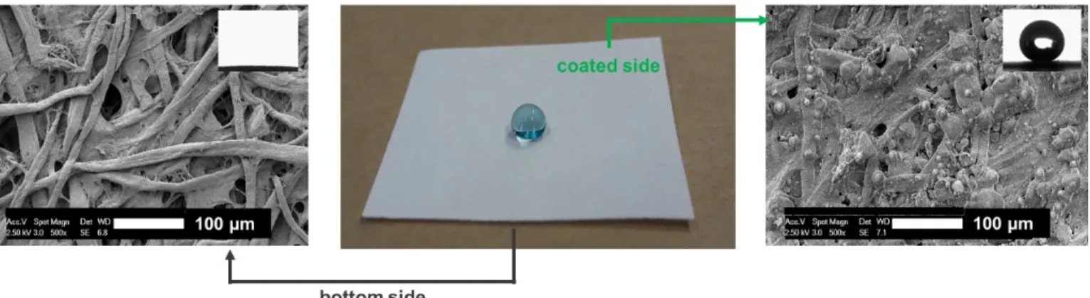 Figure 1. Lower untreated side of the hybrid paper sheet preserves the fibrous morphology and inherent hydrophilic behavior, whereas the coated upper side gains a different multiscale topography and becomes superhydrophobic
