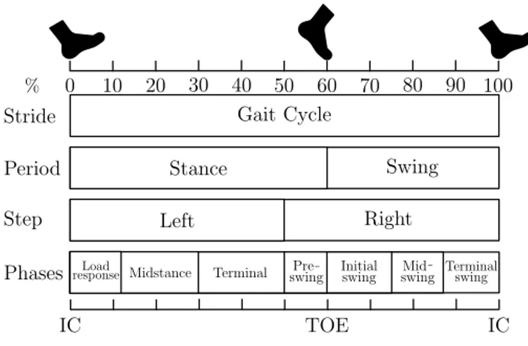 Fig. 2. Gait events and gait phases in one GC. The GC is divided into stance and swing phase