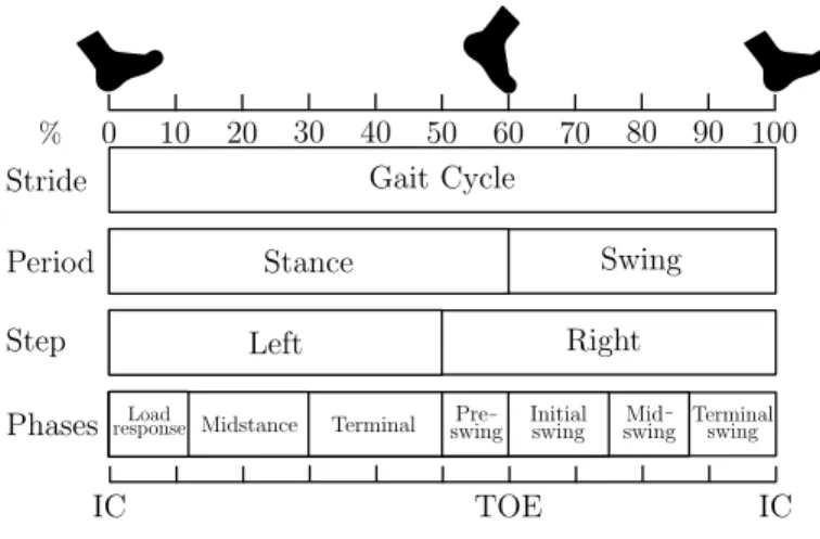 Fig. 2. Gait events and gait phases in one GC. The GC is divided into stance and swing phase