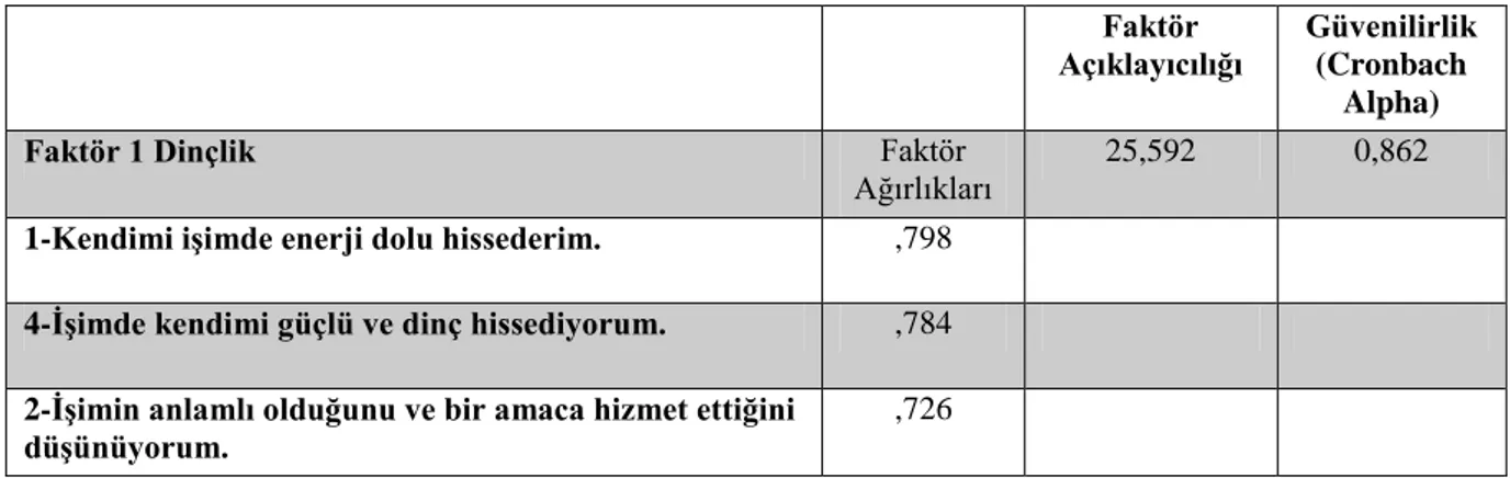 Tablo 1. Çalışmaya Tutkunluk Faktör Analizi 