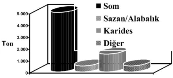 Şekil 1. Dünya organik su ürünleri üretimi.  