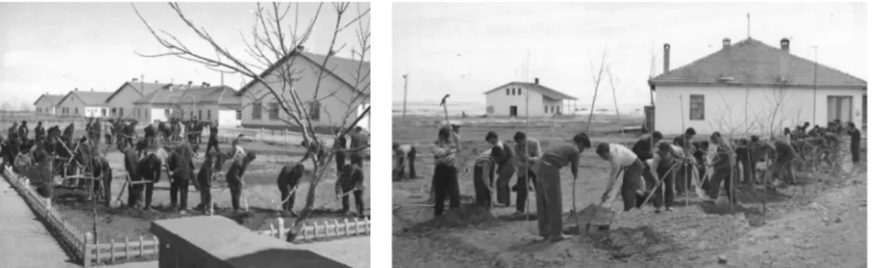 Şekil 7: Pulur Köy Enstitüsü öğrencileri tarım dersinde (1953). 18