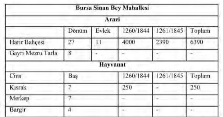 Tablo 2: Bursa Sinan Bey Mahallesi’nde Yaşayan Romanların Meslekleri ve Diğer Geçim kaynakları Kaynak: (BOA