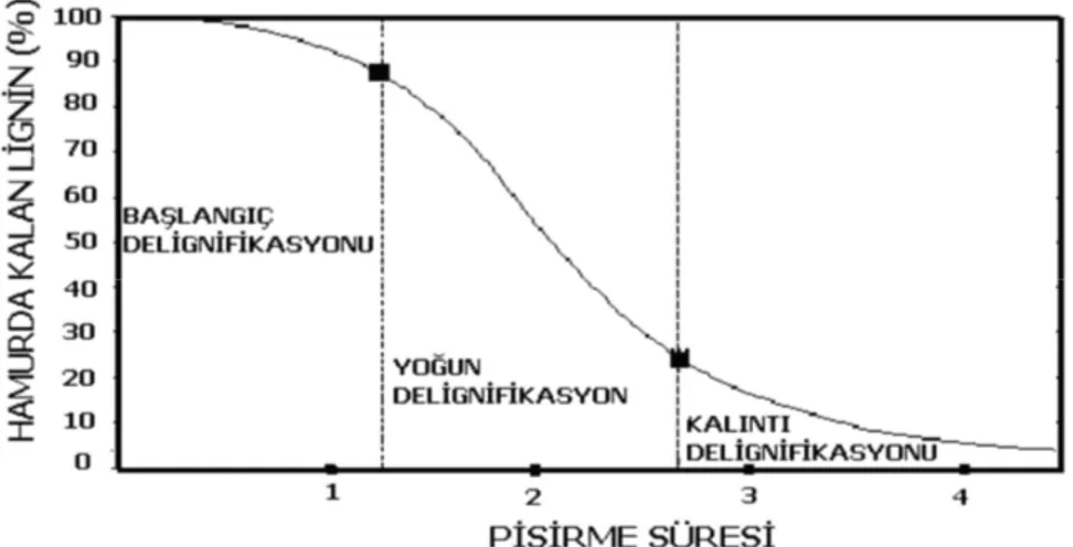 Şekil 1.6. Odun yongalarının ve yıllık bitki saplarının delignifikasyon evreleri(Tutuş ve  ark, 2009) 