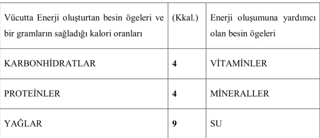 Çizelge 3.1. Temel Besin Öğeleri 