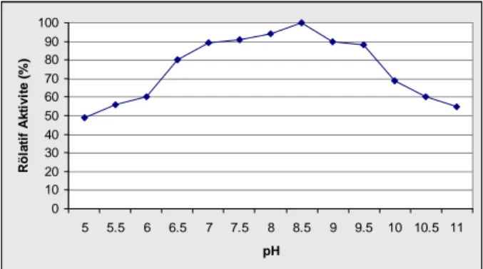 Şekil  1.  Farklı  pH’larda  Bacillus.  B23  suşunun  rölatif  enzim aktivitesi. 