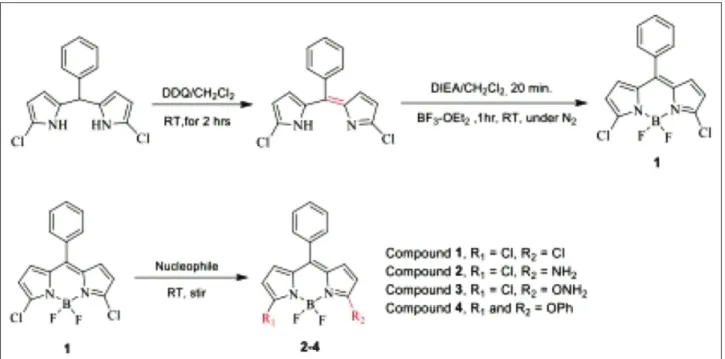Figure 1: synthetic approach for preparation of compounds 1–4.