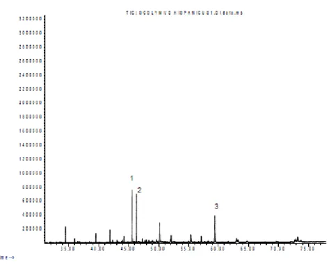 Figure 1. GC-MS Chromatogram of Scolymus hispanicus essential oil.